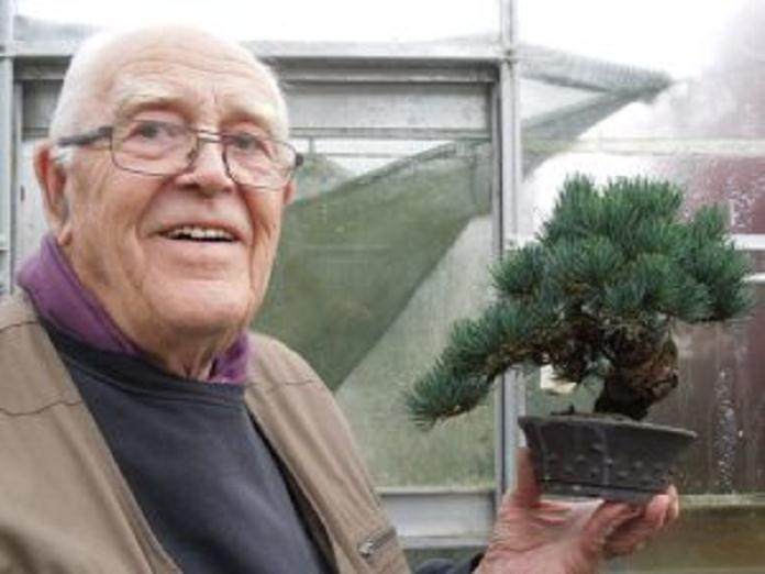 初出茅庐的苏格兰盆景协会的早期展览