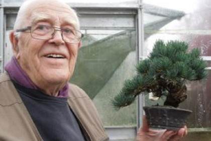 初出茅庐的苏格兰盆景协会的早期展览