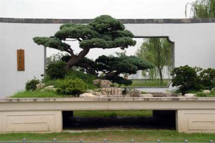 我市正在安装巨型盆景 重达80吨