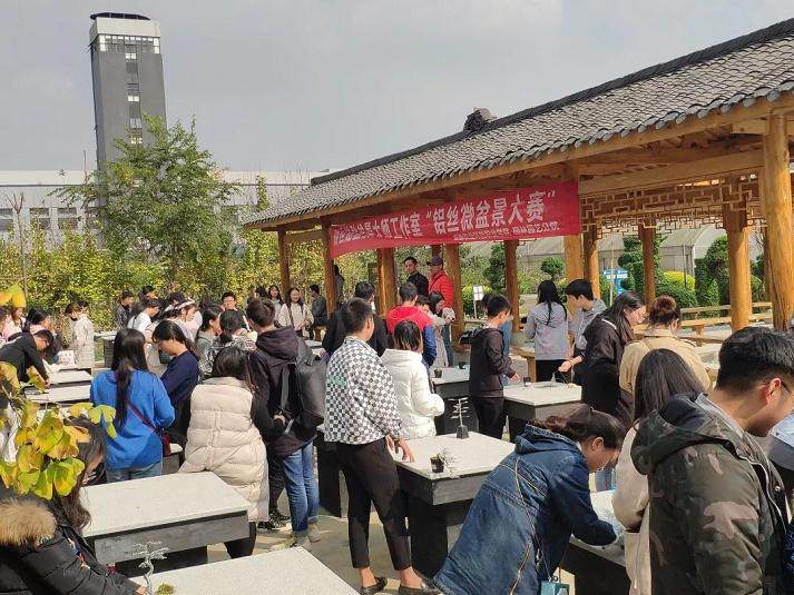 胡世勋盆景大师工作室铝丝微盆景大赛