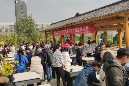 胡世勋盆景大师工作室铝丝微盆景大赛