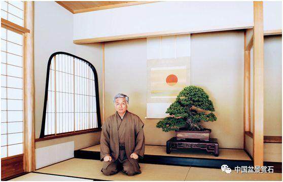 日本盆景大师华山论剑-你看不看-起源篇