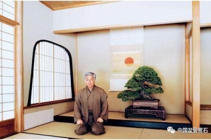 日本盆景大师华山论剑-你看不看-起源篇