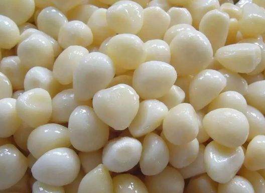 盆栽容易招虫?用这些东西分分钟消灭赶跑