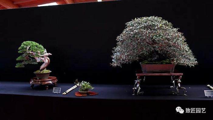 盆景培养土的配制比例