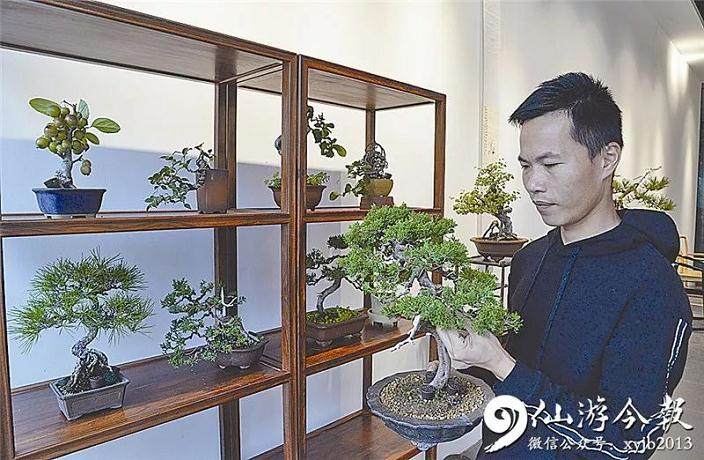 仙游一80后退伍军人痴迷盆景