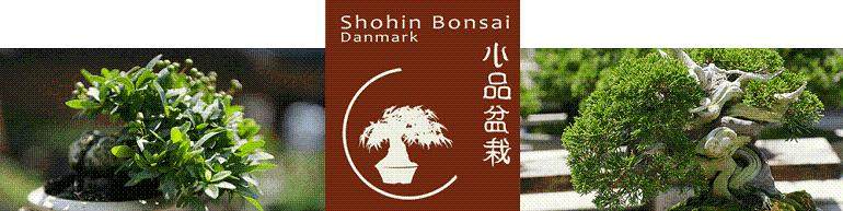 我代表英国小品盆景和前英国小品协会的所有人