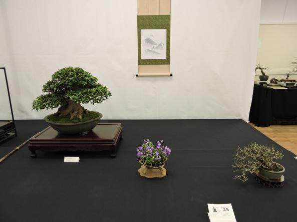 2014年第7届英国小品盆景协会展览会