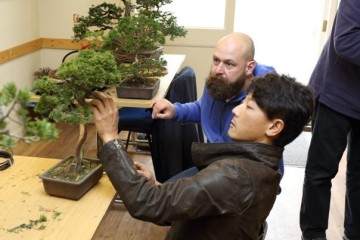 2012年 第六届英国小品盆景协会展览