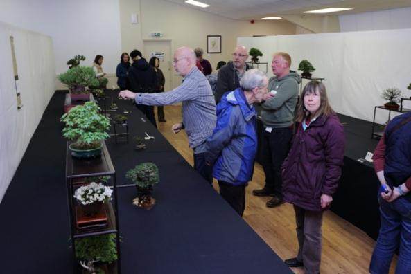 2010年 第五届英国小品盆景协会展