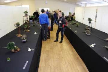 2010年 第五届英国小品盆景协会展