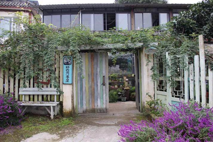 在成都 玩盆景成了这群年轻人的生活方式