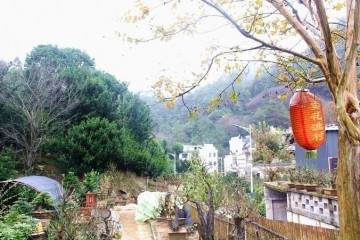 盆景种植为特色的卖花渔村作为先行试点村