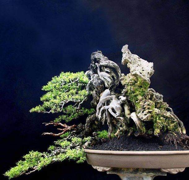 鬼斧神工赏盆景之十三：附石式盆景