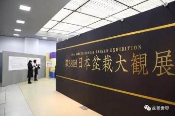 第38届日本盆景大观展在京都市劝业馆开幕