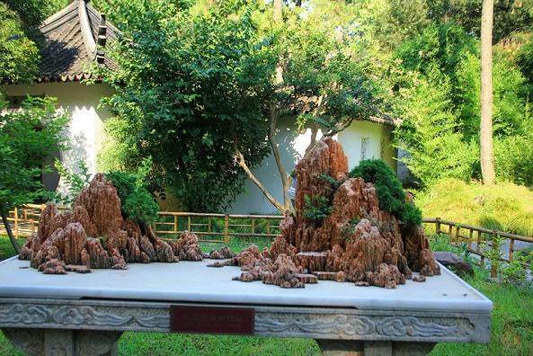 下面为大家一一讲解山石盆景制作过程