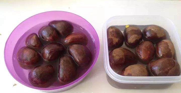 如何在家种一盆养眼的栗子盆栽 图片