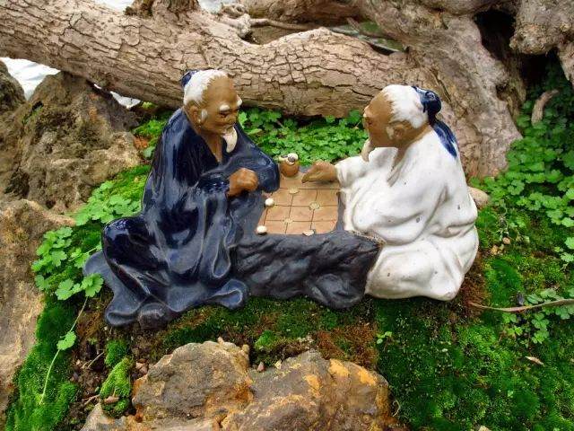 以下是几位盆友对玩上盆景的心得