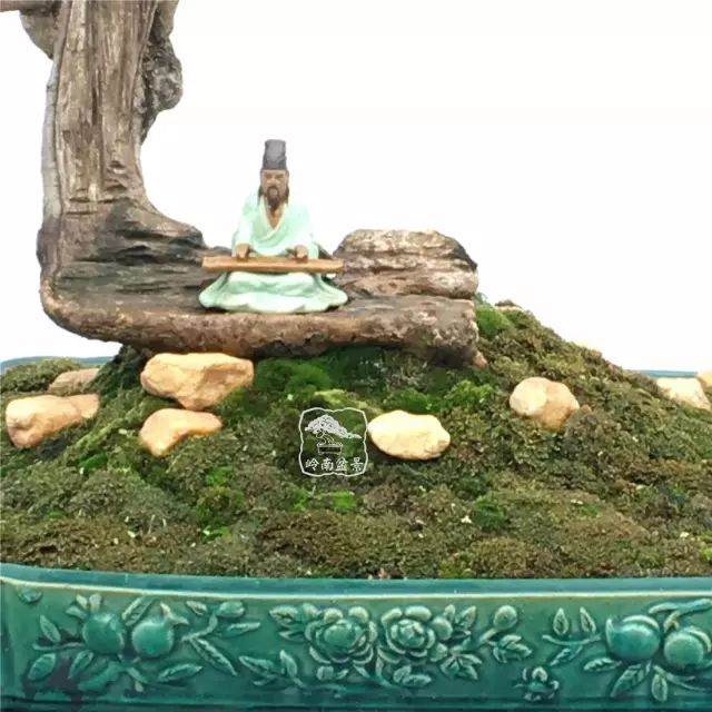 以下是几位盆友对玩上盆景的心得