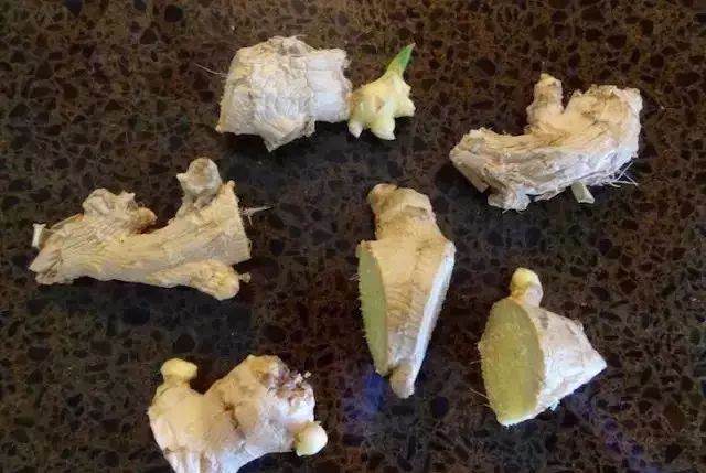 在家里养护生姜盆栽需要注意的几个技巧