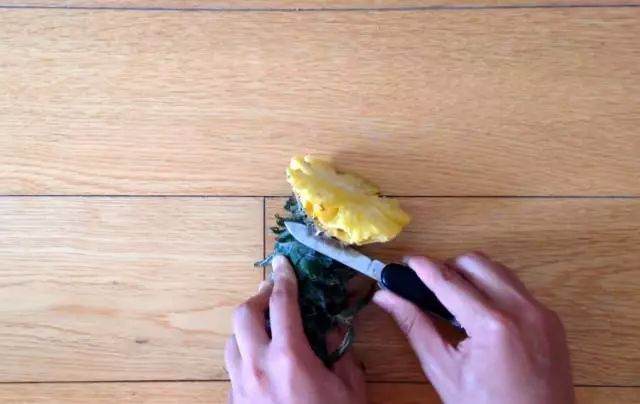 图解制作菠萝盆栽的全过程 图片