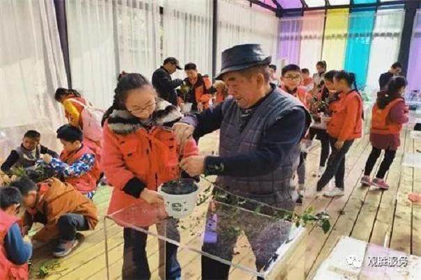 严家弯湾川派盆景民俗文化研学活动