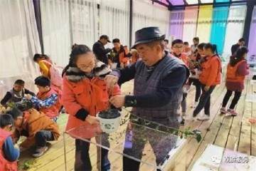 严家弯湾川派盆景民俗文化研学活动