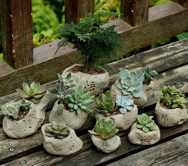 多肉容器产品有形的设计已经没有多大的空间