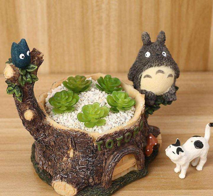 宿迁市重点发展多肉植物 盆景园艺等特色农业产业