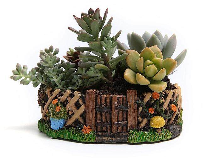 室内美化给观叶植物的销售也带来了商机