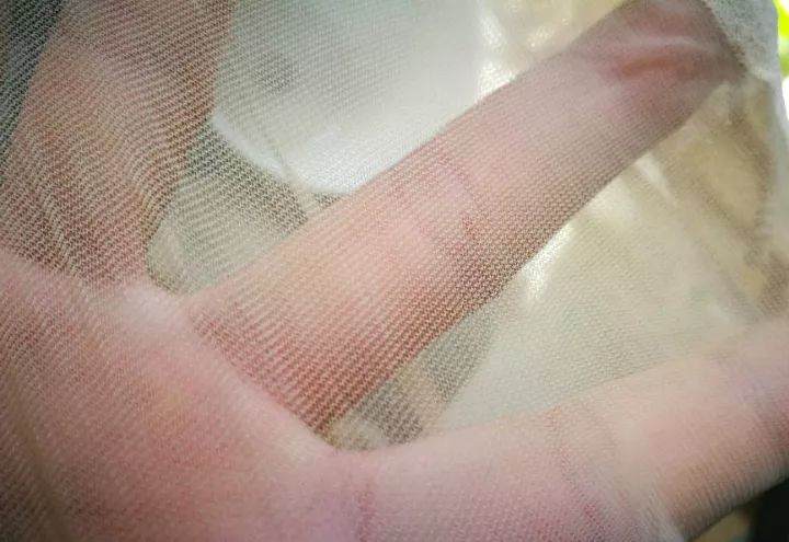 破袜子套花盆上 不烂根不黄叶 绿萝多肉长翻天了