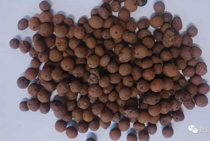 家居养多肉 常备3种土 先养活 再养胖