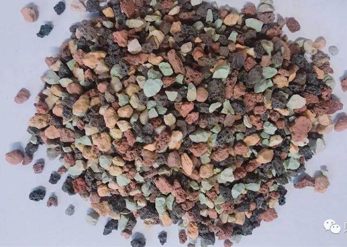 家居养多肉 常备3种土 先养活 再养胖