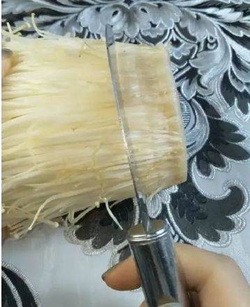 如何制作金针菇盆栽作品 图片