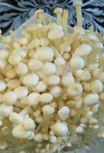 如何制作金针菇盆栽作品 图片