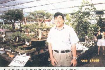 南非盆景整体水平尚属初级阶段 处于启蒙时候