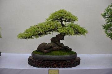 营销中心开展了DIY盆景与抽大奖活动