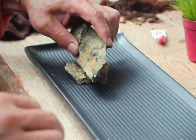 图解 老楼怎么制作菖蒲盆景的7个过程