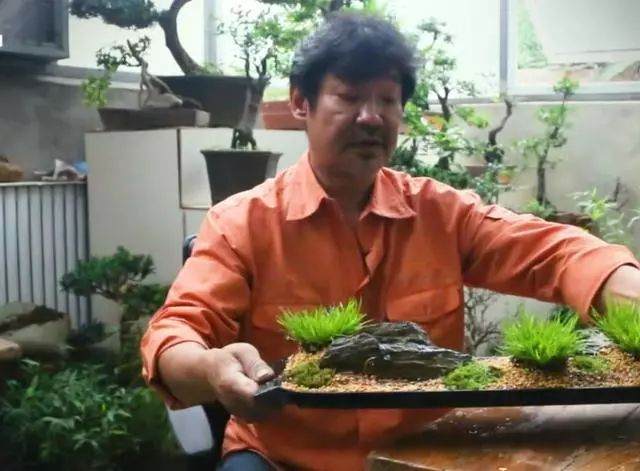 图解 老楼怎么制作菖蒲盆景的7个过程