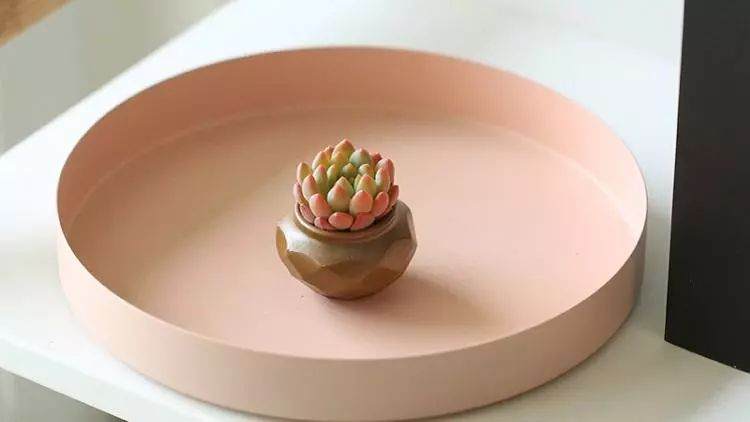 多肉小学堂 全套肉肉怎么浇水技巧