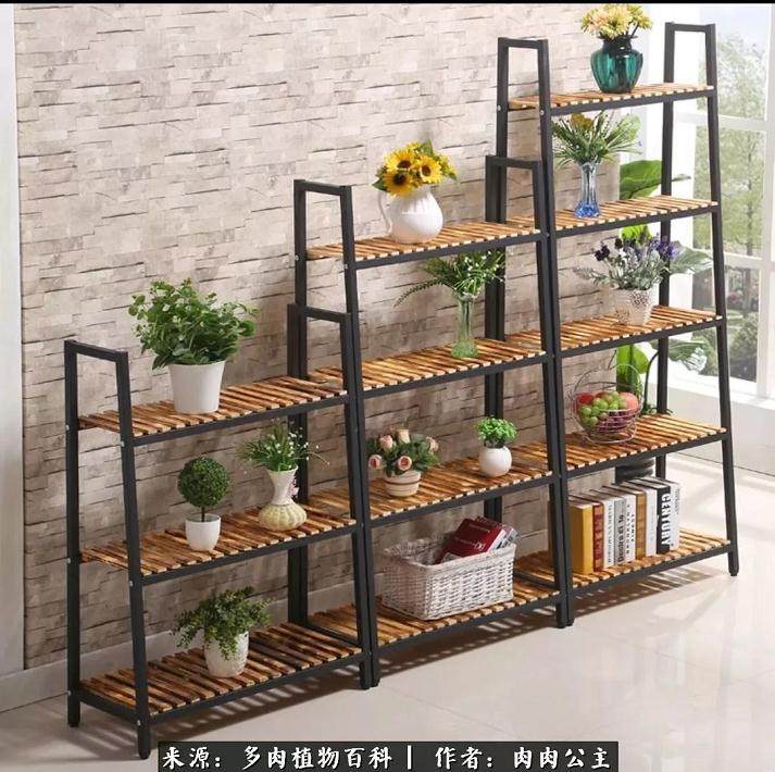 养多肉上瘾啊 这是我的肉友告诫我的话