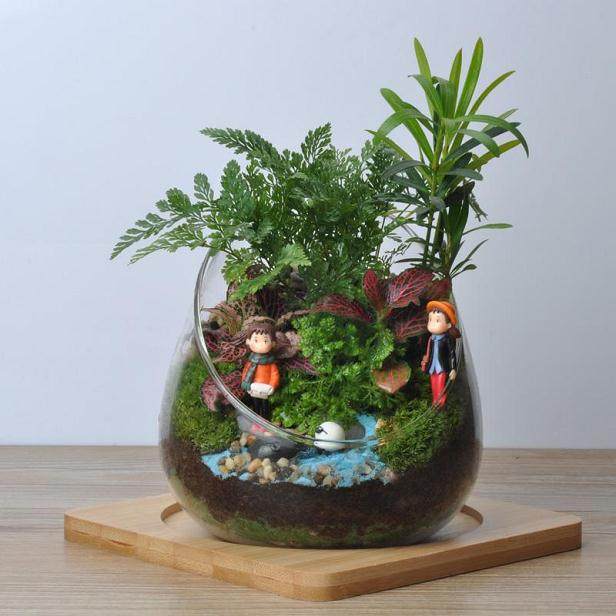 9月受教师节影响 盆花销售取得了较好的成绩