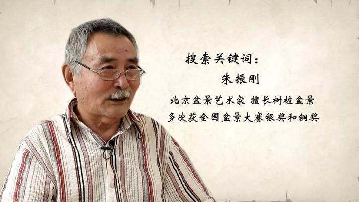 朱振刚 痴迷创作的盆景人