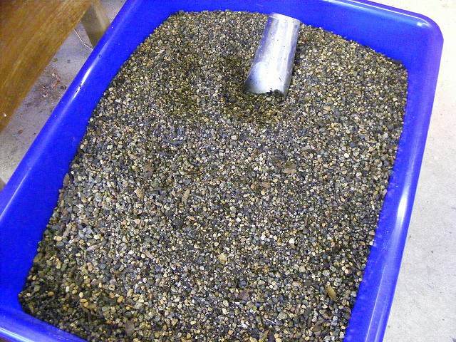 图解 2011年制作榆树盆景的过程