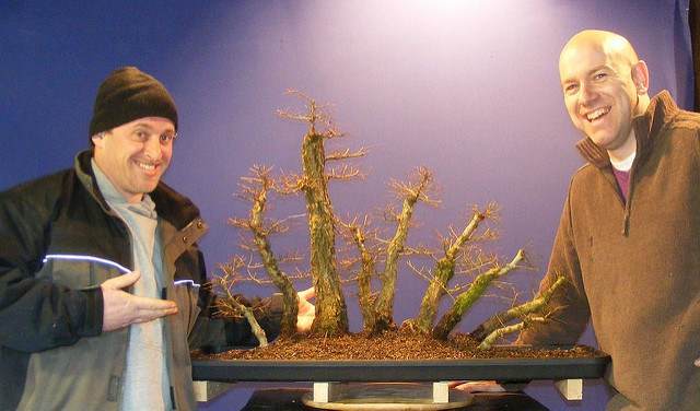 图解 2011年制作榆树盆景的过程