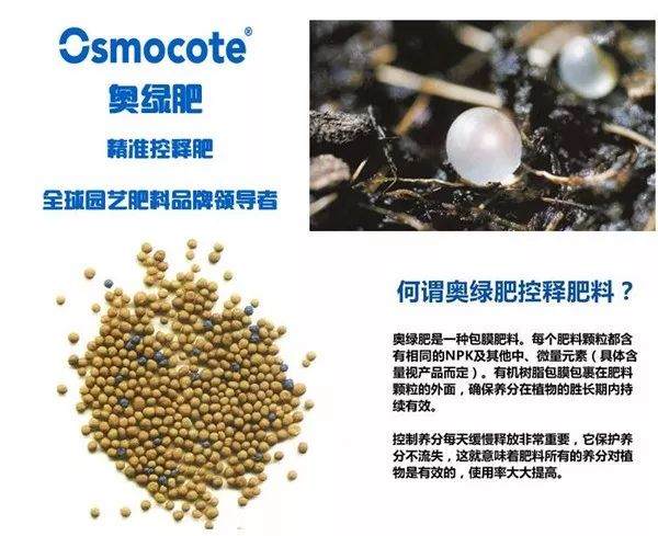 多肉要用什么缓释肥？