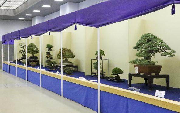 2018年第38届日本盆景大观展览会第1部分