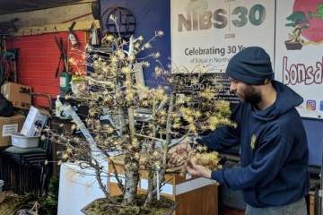 2018年11月 北爱尔兰盆景协会研讨会