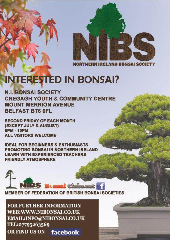 加入北爱尔兰盆景协会的方法与费用