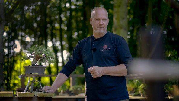 欧洲的盆景艺术家 -- 摩顿·阿尔瓦克